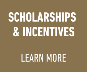 SCHOLARSHIPS & INCENTIVES BUTTON